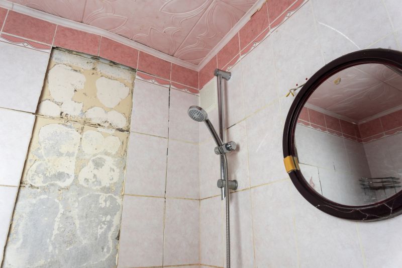 Top Shower Remodeling Companies in Allegan, MI