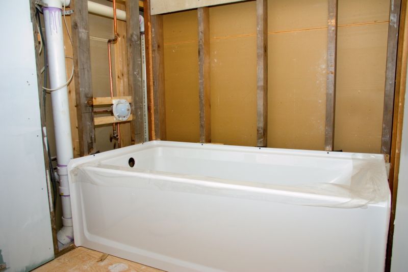 Top Tub To Shower Conversion Companies in Byron Center, MI